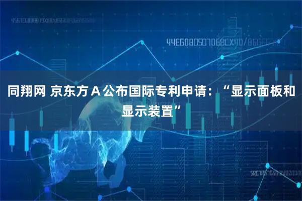 同翔网 京东方Ａ公布国际专利申请：“显示面板和显示装置”